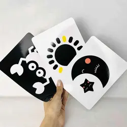 کارت‌های سیاه و سفید نوزاد(انتشارات ماه کوچولو) 0تا 12ماه - کتاب و بازی کودک