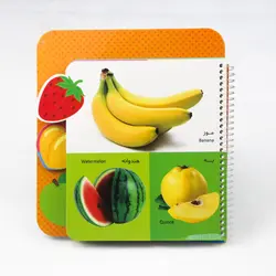 کتاب کوچولوی میوه ها انتشارات شهر قلم