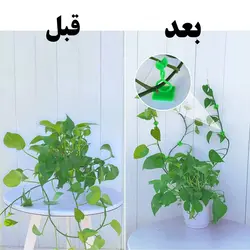 خرید گیره پتوس نگهدارنده شاخه گل و گیاه بسته 20 عددی کد T10 - فروشگاه خلاق شاپ