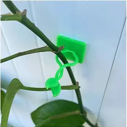 خرید گیره پتوس نگهدارنده شاخه گل و گیاه بسته 20 عددی کد T10 - فروشگاه خلاق شاپ