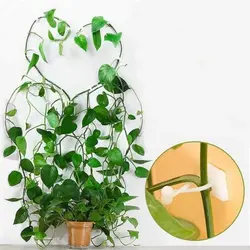 خرید گیره پتوس نگهدارنده شاخه گل و گیاه بسته 20 عددی کد T10 - فروشگاه خلاق شاپ