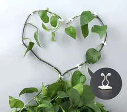 خرید گیره پتوس نگهدارنده شاخه گل و گیاه بسته 20 عددی کد T10 - فروشگاه خلاق شاپ