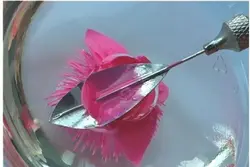 سرنگ و ابزار تزریق ژله فلزی 10 عددی - فروشگاه خلاق شاپ