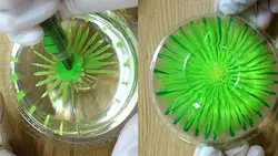 سرنگ و ابزار تزریق ژله فلزی 10 عددی - فروشگاه خلاق شاپ