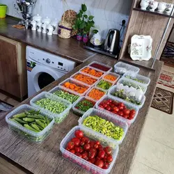 ظروف فریزری پک 5 عددی درب دار - فروشگاه خلاق شاپ