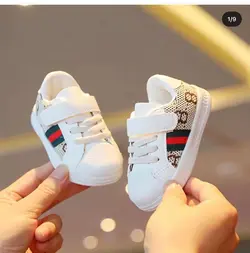 کفش راندی gucci