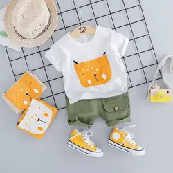 ست گربه وارداتی