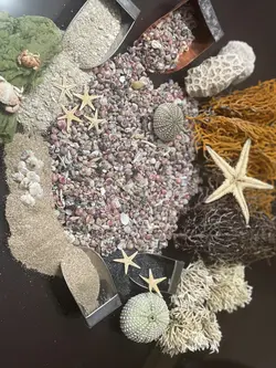 ماسه طبیعی دریا رنگ کرمی وزن 100 گرم