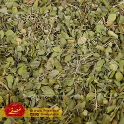 آویشن شیرازی