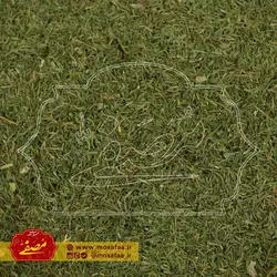 شوید خشک ممتاز (از 100 گرم)