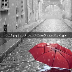 تابلو چتر و دوچرخه و گل