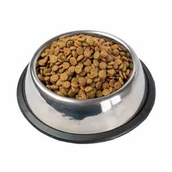 خرید آنلاین غذای خشک گربه بالغ جوسرا مدل NatureCat تمامی نژادها بسته بندی 10 کیلوگرم با قیمت مناسب