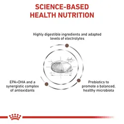غذای خشک سگ رویال کنین درمانی بیماری های گوارشی مدل گاسترو Gastro Intestinal وزن 2 کیلوگرم | پتیشا