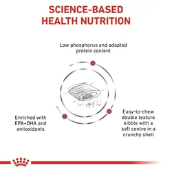 غذای خشک گربه رویال کنین درمانی نارسایی مزمن کلیه مدل رنال سلکت Renal Select وزن 2 کیلوگرم | پتیشا