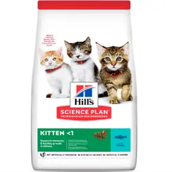 غذای خشک بچه گربه هیلز مدل Kitten طعم ماهی تن وزن 1.5 کیلوگرم