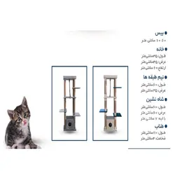 اسکرچر‌ گربه ژوانیت مدل کنجی
