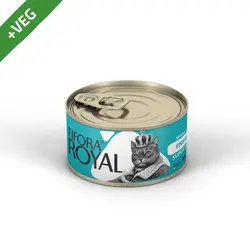 کنسرو گربه برند فیفورا رویال Fifora Royal مدل نچرال با طعم فیله ماهی با سبزیجات وزن 120 گرمی | پتیشا