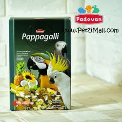 غذای آجیلی طوطی مناسب جثه بزرگ برند پادوان مدل Pappagalli وزن ۵۰۰ گرم کد ۱۶۶