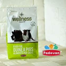غذا خوکچه هندی برند پادوان ایتالیا مدل Guinea pigs وزن یک کیلوگرم کد ۱۵۱