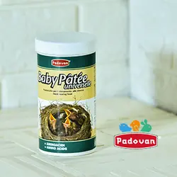 سرلاک پرندگان دانه خور برند پادوان مدل Baby patee وزن ۱۰۰ گرم کد ۱۵۰ - پت شاپ پتزی