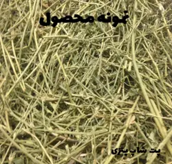 یونجه ساقه دار جوندگان شسته شده برند کیوت کت وزن بسته ۱٫۵ کیلوگرم کد ۱۱۷