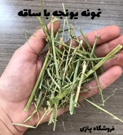 یونجه ساقه دار جوندگان شسته شده برند کیوت کت وزن بسته ۱٫۵ کیلوگرم کد ۱۱۷