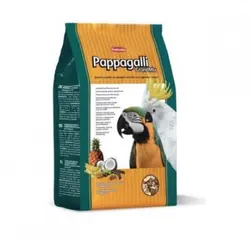 غذای آجیلی طوطی مناسب جثه بزرگ برند پادوان مدل Pappagalli Grandmix وزن ۲Kg کد ۱۶۷