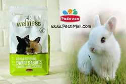 غذای بچه خرگوش پادوان مدل Wellness وزن ۱KG کد ۱۶۰