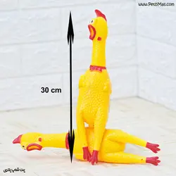 دندونی سگ مرغ نالان تک عددی کد ۷۴۳