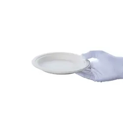 بشقاب کاغذی گرد باگاس 7 اينچ پیکنیک
