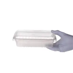 ظرف ترموفرمينگ یکبار مصرف كوچك پيكنيك