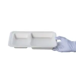 ظرف کاغذی باگاس دوخانه پيکنيک