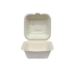 ظرف کاغذی همبرگر مربعی باگاس پیکنیک