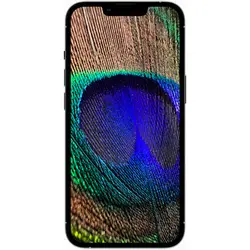 گوشی موبایل اپل مدل iPhone 13 Pro دو سیم‌ کارت ZAA ظرفیت 1 ترابایت و 6 گیگابایت رم-نات اکتیو- 18 ماه گارانتی هماتلکام - واردات قانونی | فروش ویـــژه روز پدر - ⚡️فروشگاه اینترنتی پین تز⚡️
