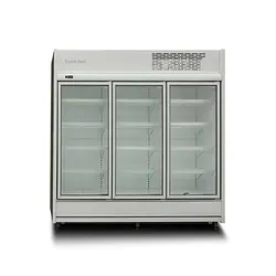 فریزر ایستاده الکترواستیل فروشگاهی 3 درب 1 طرفه مدل فلامینگو - پلادیوم شاپ