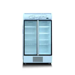 یخچال ایستاده فروشگاهی دو درب الکترواستیل نسرین - پلادیوم شاپ
