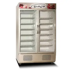 یخچال و فریزر ایستاده فروشگاهی دو درب الکترواستیل مدل آسمان