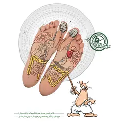 ماساژ کف پا و دست دکتر ماساژ - فروشگاه اینترنتی پی تی کو