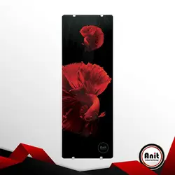 رادیاتور ایستاده آنیت مدل دکوراتیو