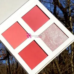 پالت رژگونه رولوشن پرو پینک