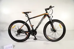 دوچرخه مدل PHOENIX ZK300 | رضوان موتو