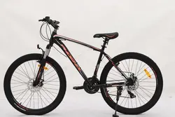 دوچرخه مدل PHOENIX zk200 | رضوان موتو