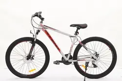 دوچرخه مدل PHOENIX zk200 | رضوان موتو