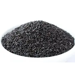 تخم شربتی (100 گرمی)