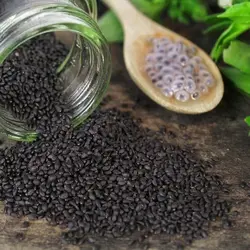 تخم شربتی (100 گرمی)