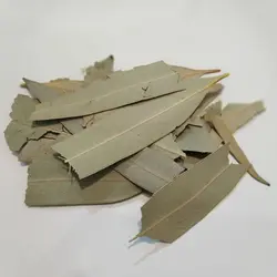 برگ اکالیپتوس (100 گرمی)