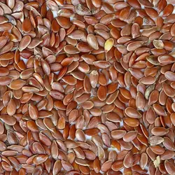 تخم کتان (50 گرمی)