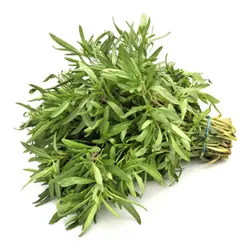 بذر مرزه پاکان بذر