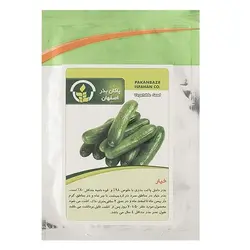 بذر خیار پاکان بذر