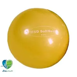 توپ شنی تمرینات پزشکی ورزشی Softmed